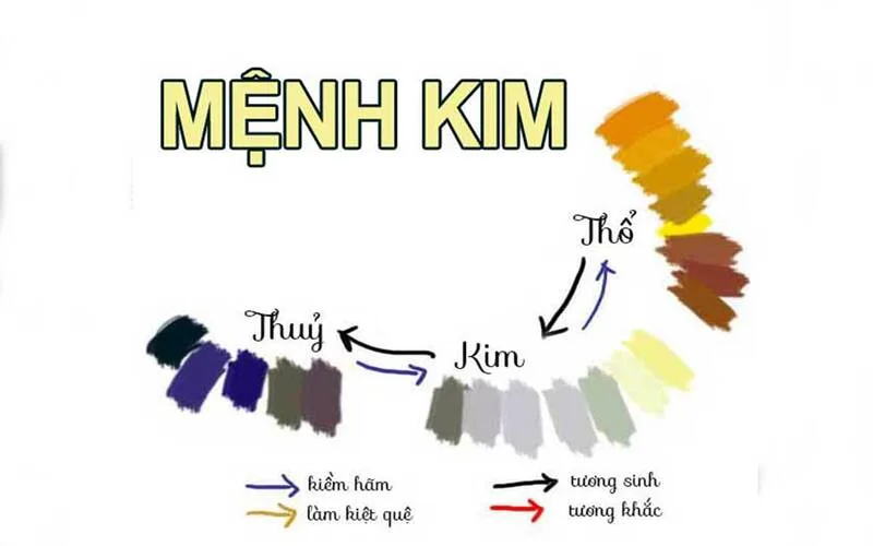 hoi dap menh kim hop mau gi de thu hut van may