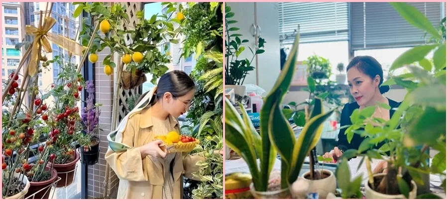 phong-thuy-van-menh-nu-sinh-nam-2000-hop-huong-nao-aa421