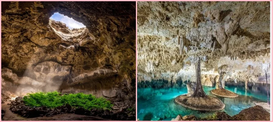 top-hang-dong-lon-nhat-the-gioi-nen-ghe-qua-1212